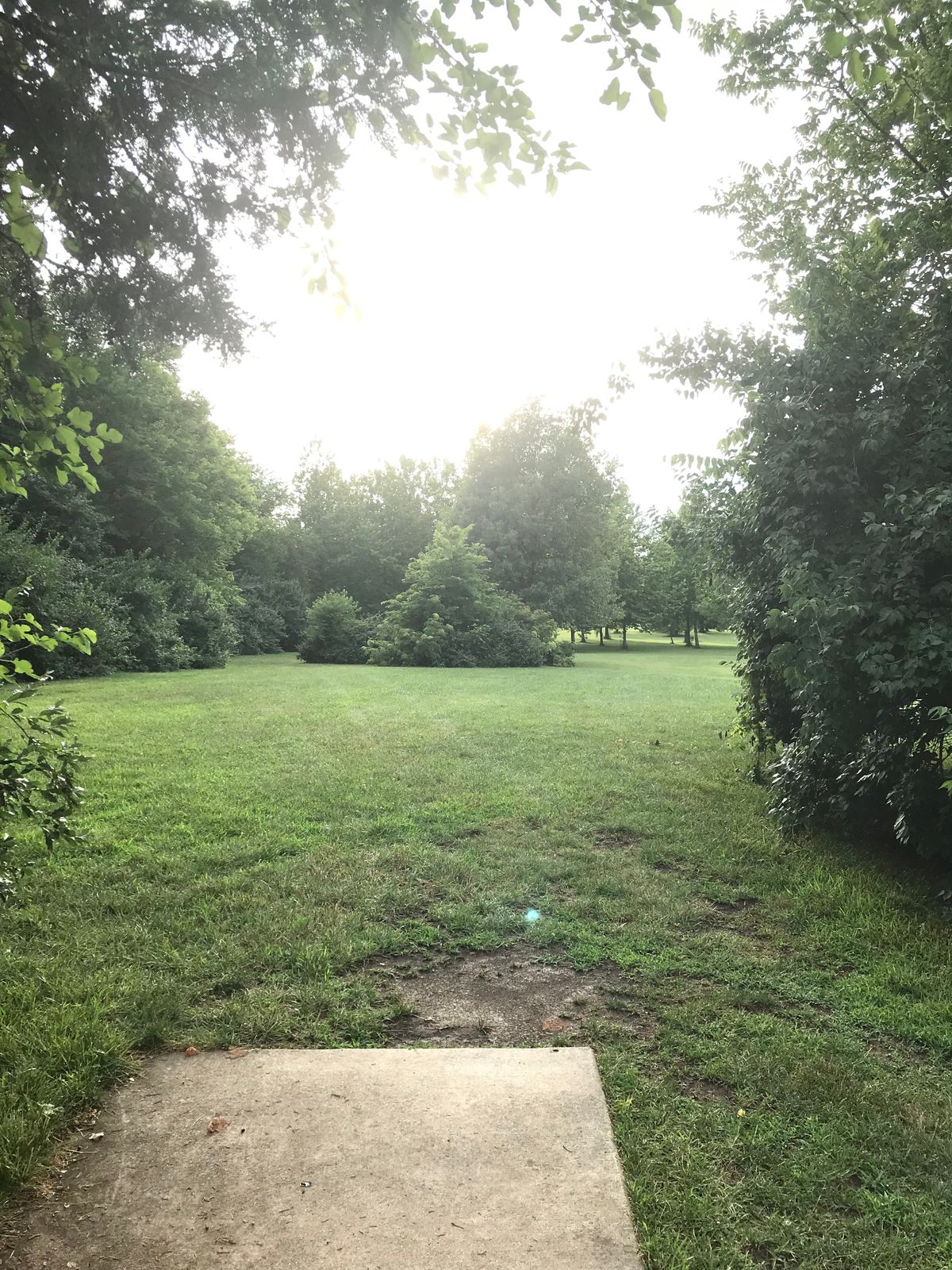 Hole 7
