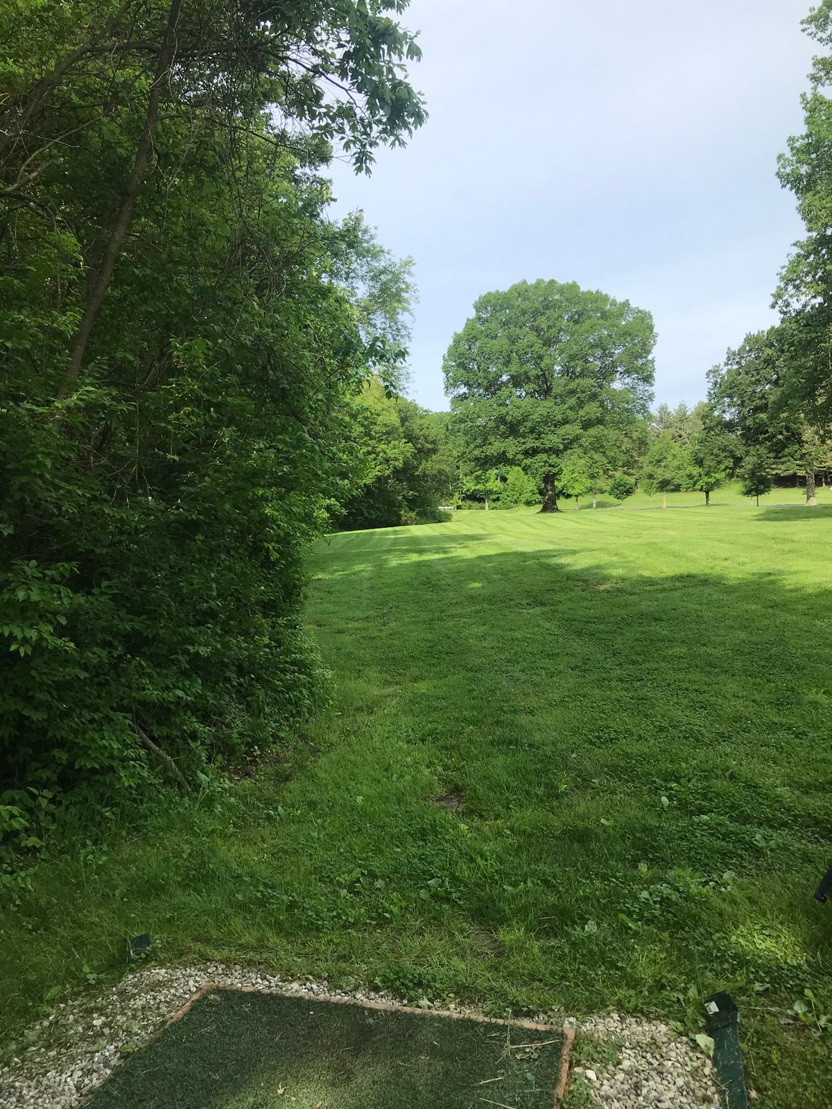 Hole 18 “One Tree to Rule Them All”- beautiful up hill par 4
