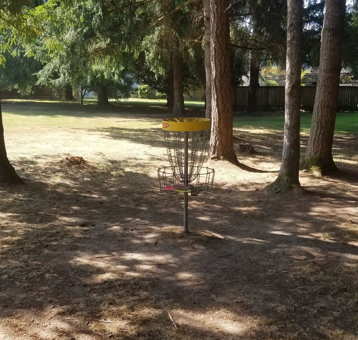 7th hole basket
