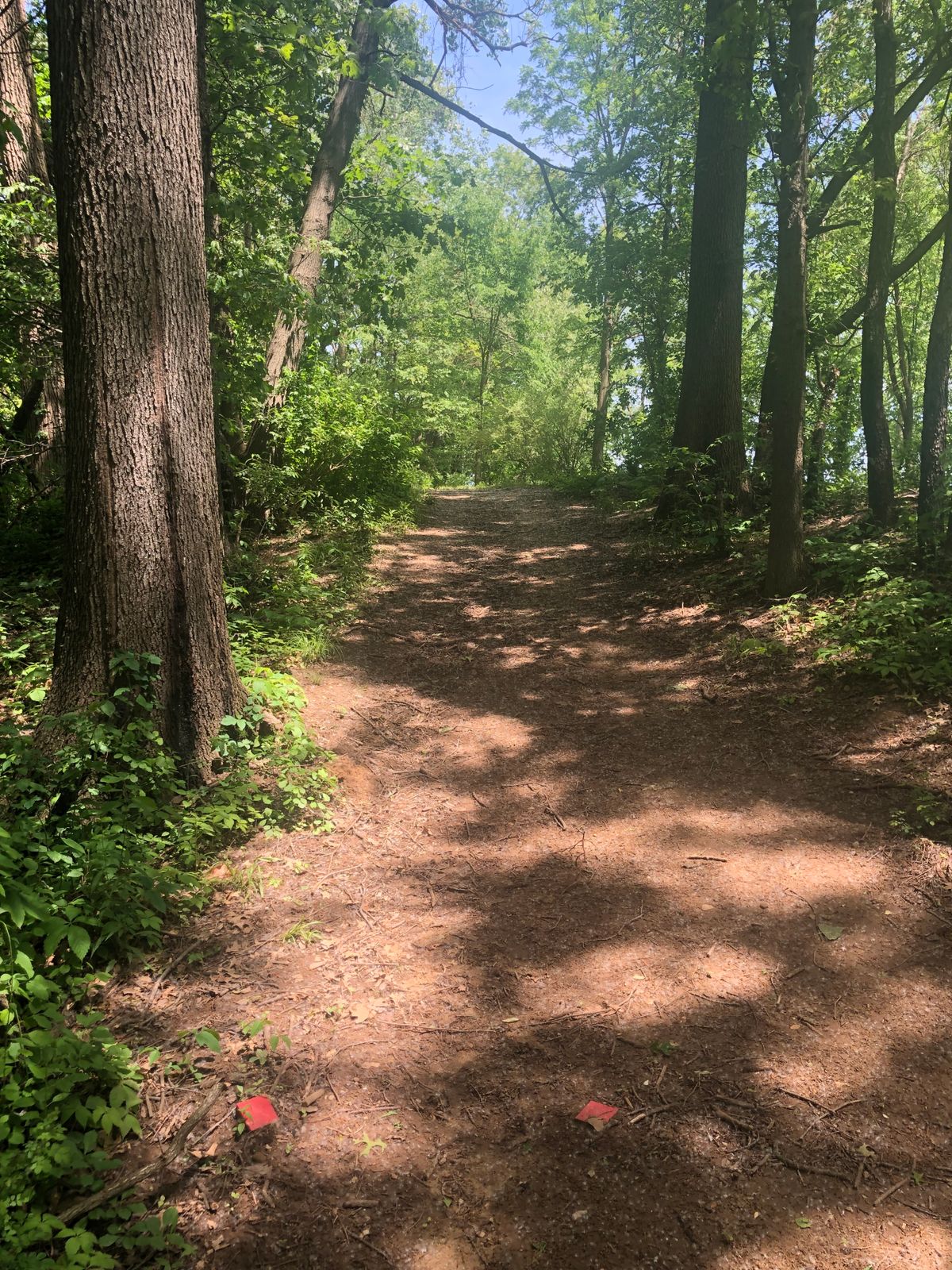 Hole 6 red tee