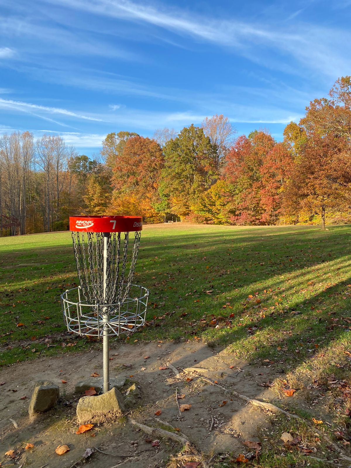 Hole 7 Basket