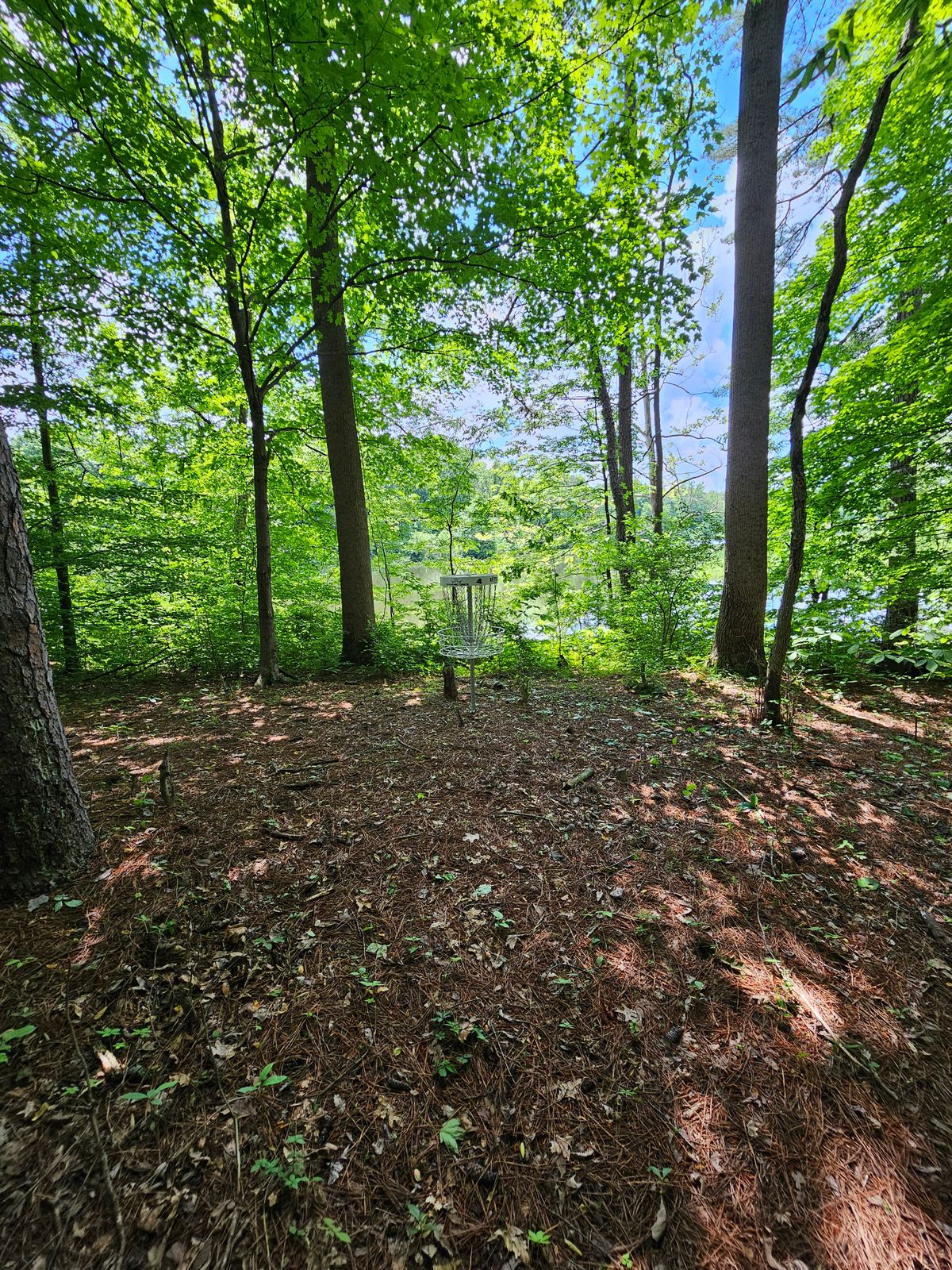 Hole 4 -- water behind basket