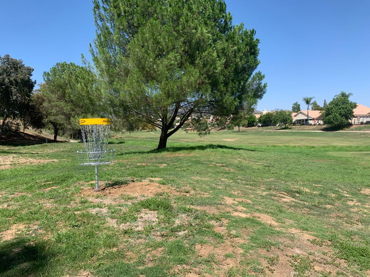 Omega Hole 17 Basket