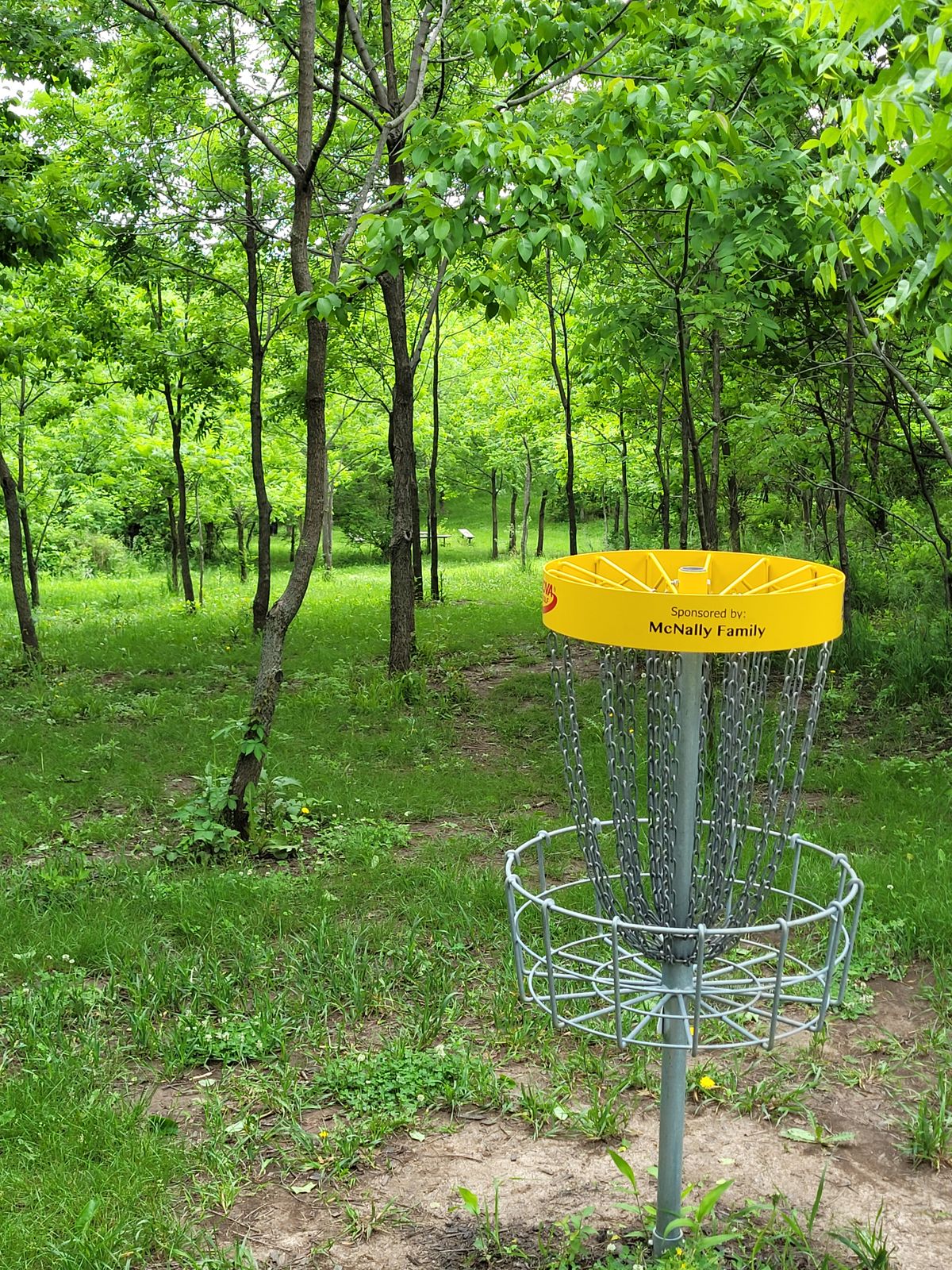 Hole 15 main basket to tee