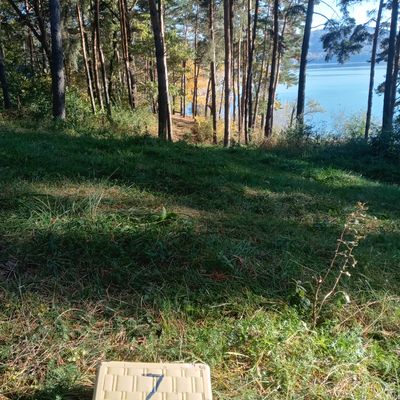 Hole 7 Tee