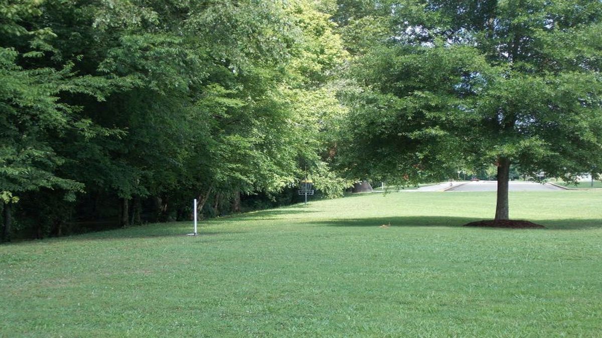 Hole 9 basket