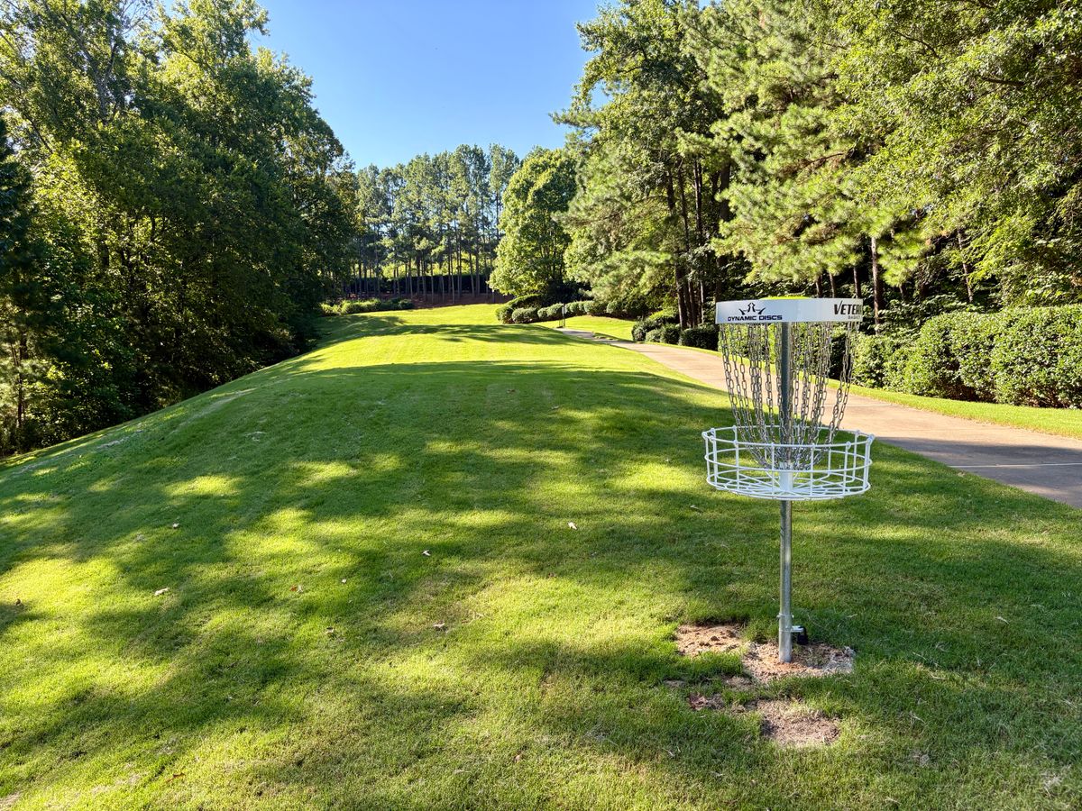 Hole 6 basket to tee
