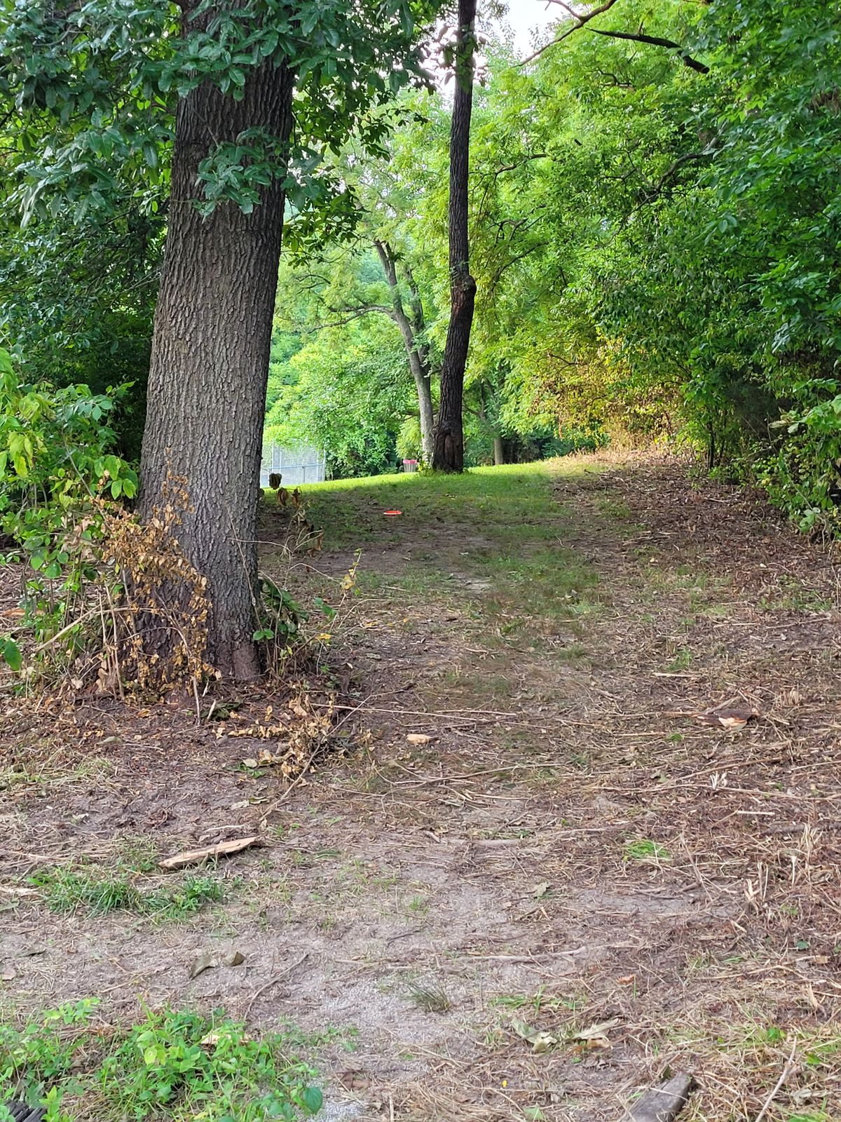 Hole 3