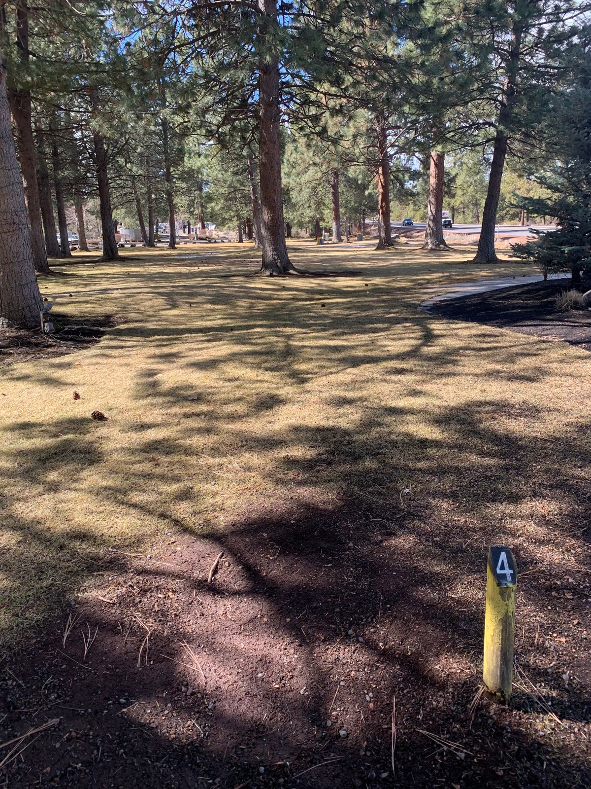 Tee for hole #4