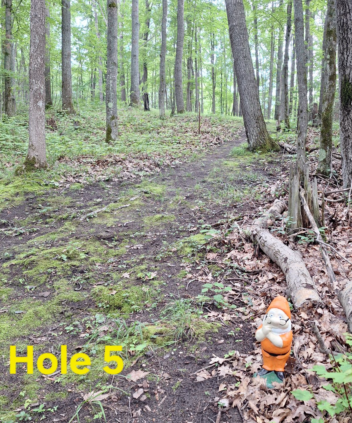 We've added some dwarves on the course to mark 150' from basket.