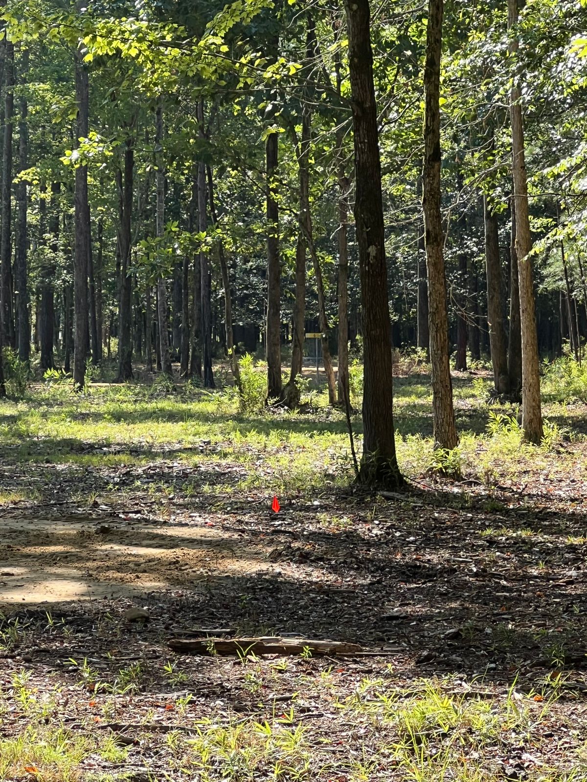 Hole 6