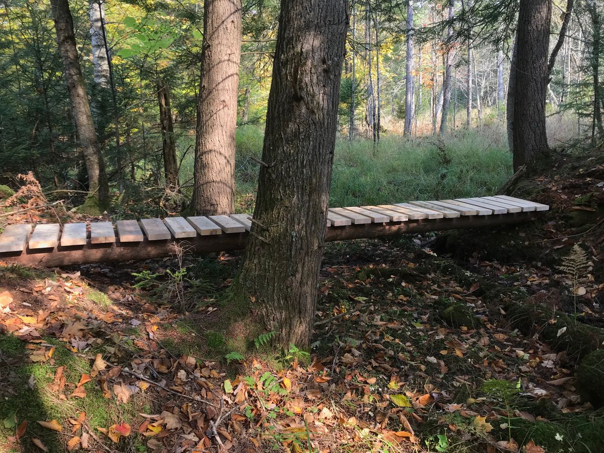 Bridge between holes 13 & 14.
