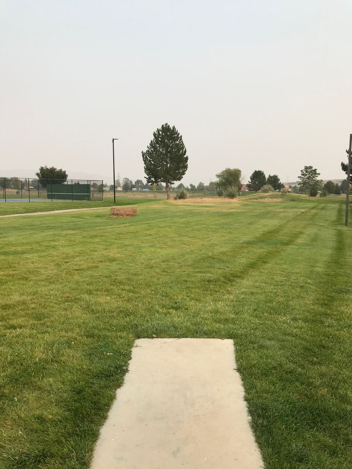 Hole 7: Basket is to the right of the tree