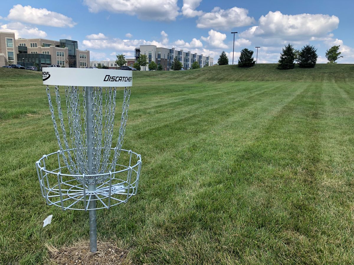 Hole 14 basket