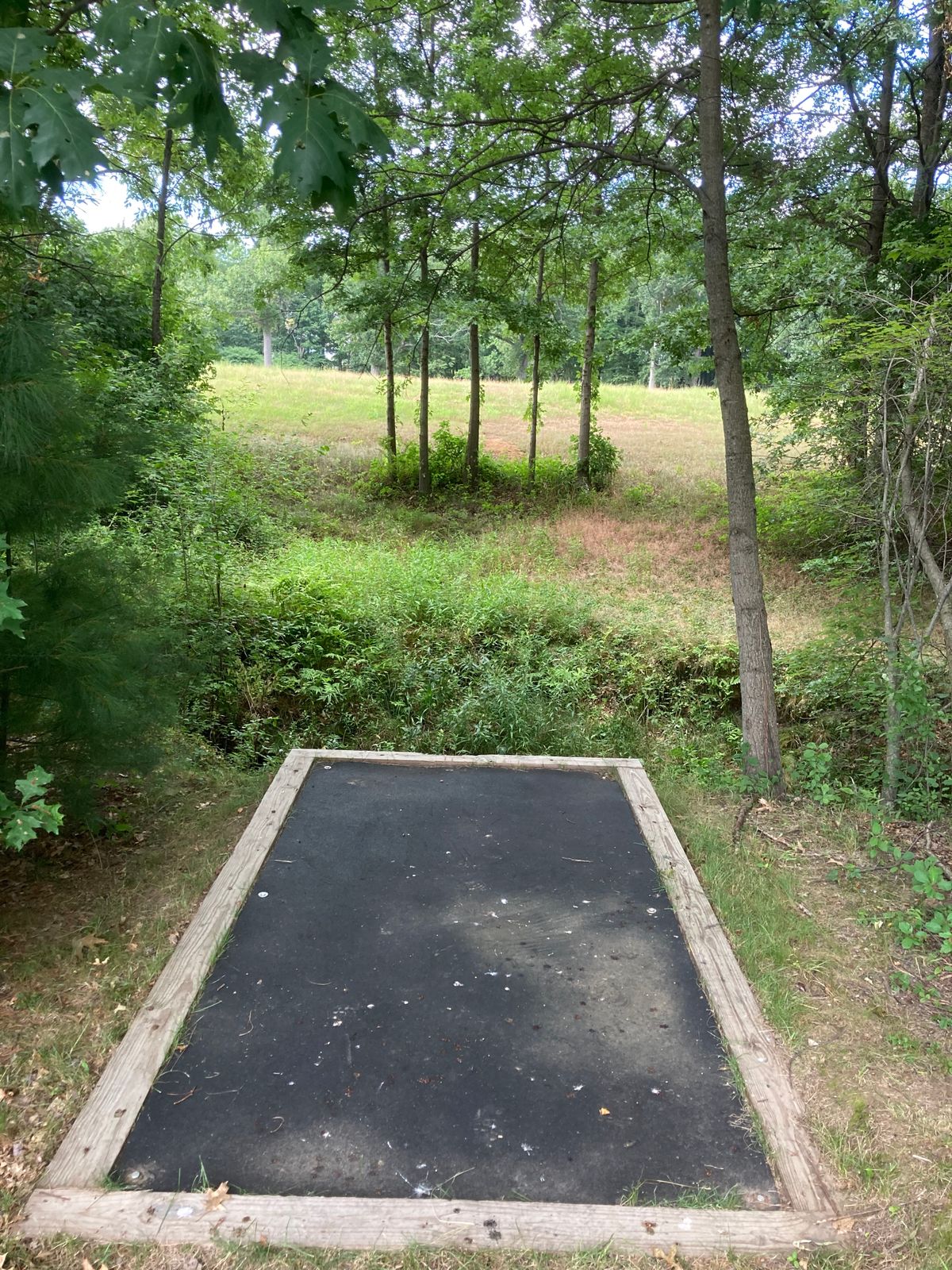 Hole 9 tee