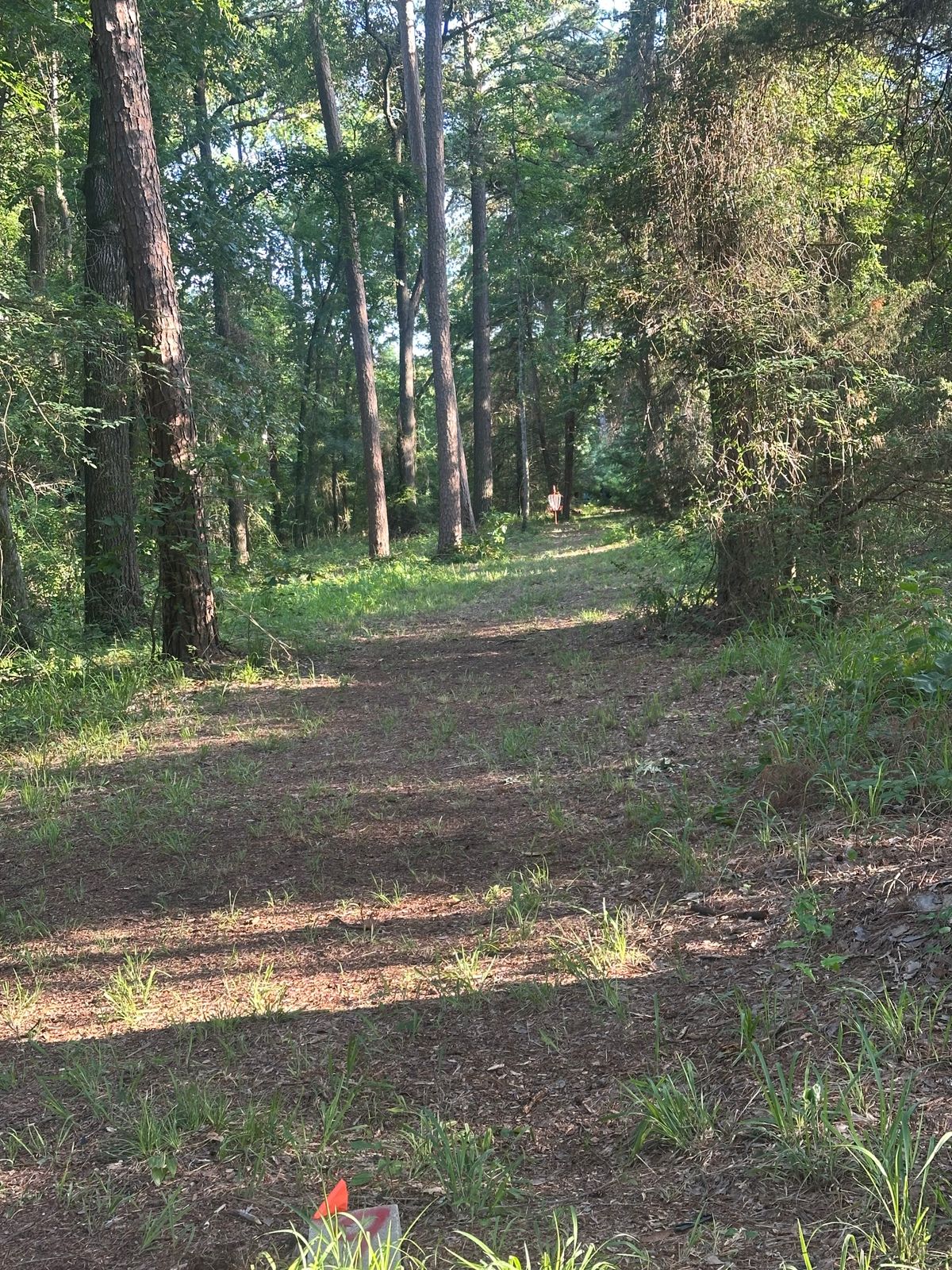 Hole 9