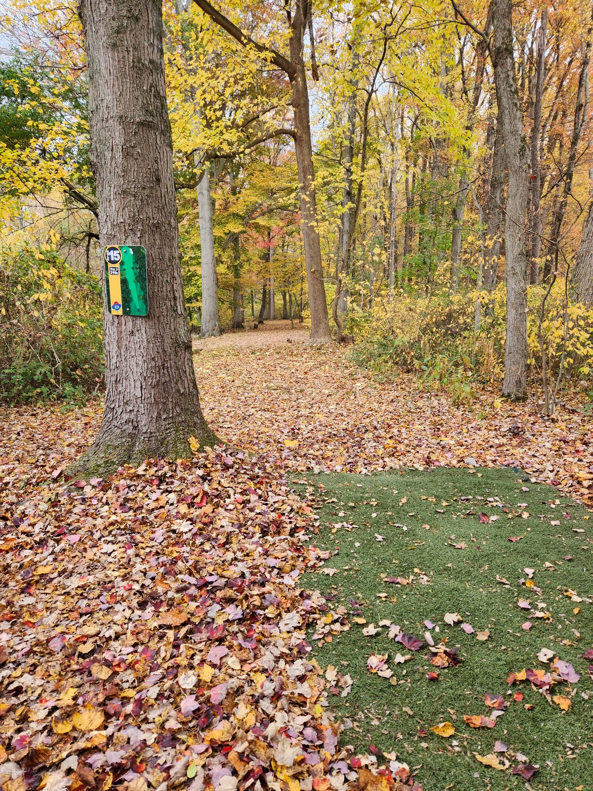 Hole 15 tee pad