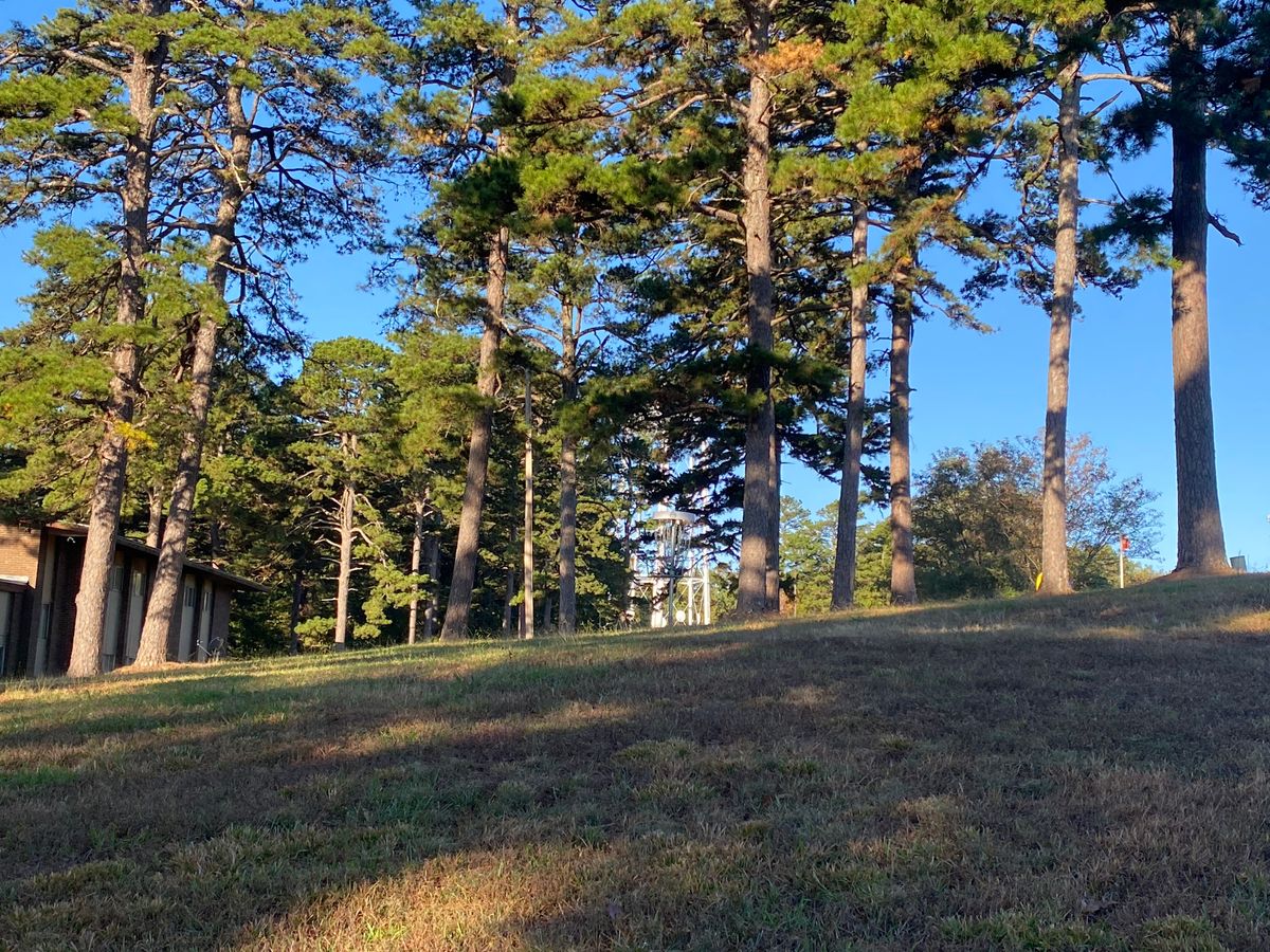 Hole 7 green