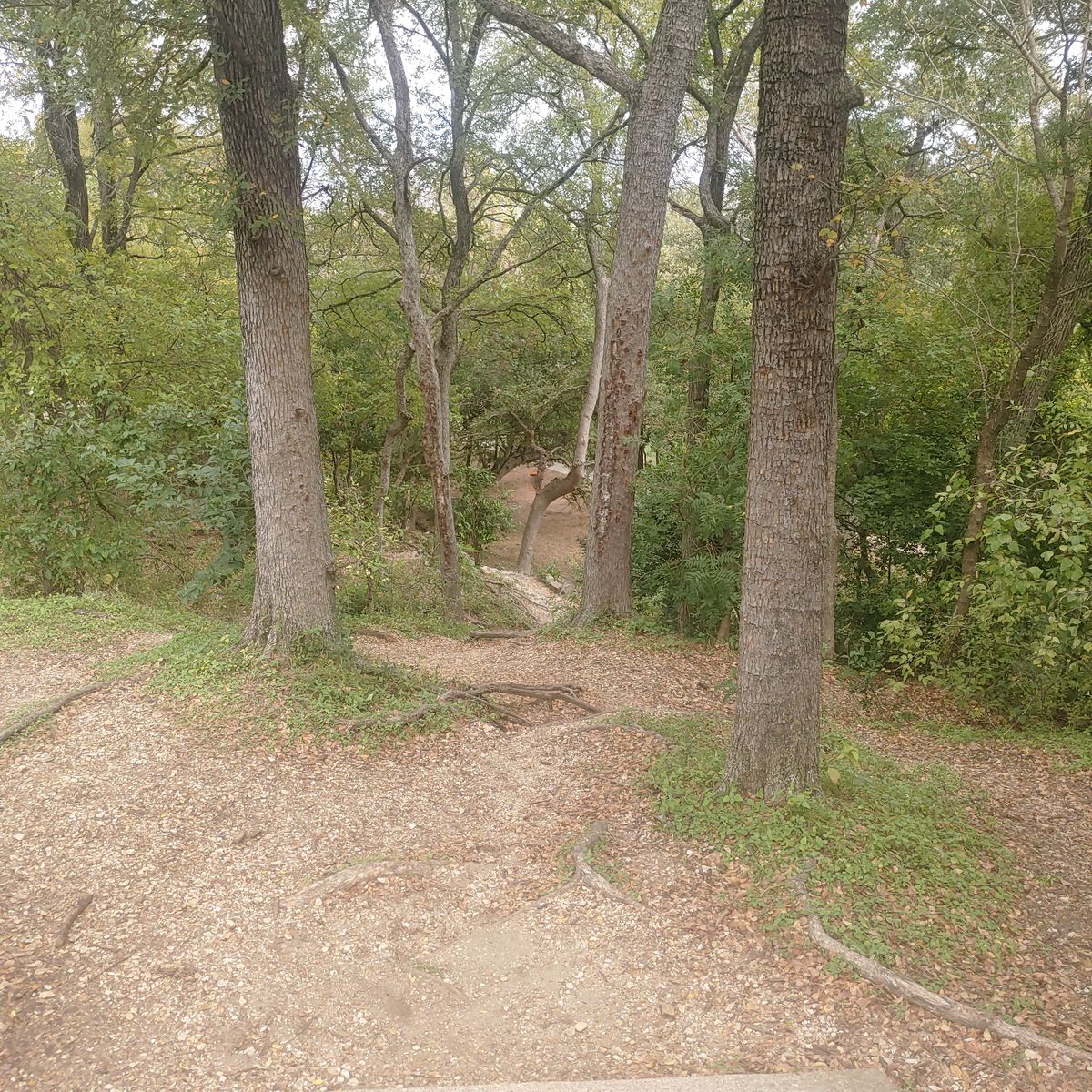Significant drop in elevation down to pin!