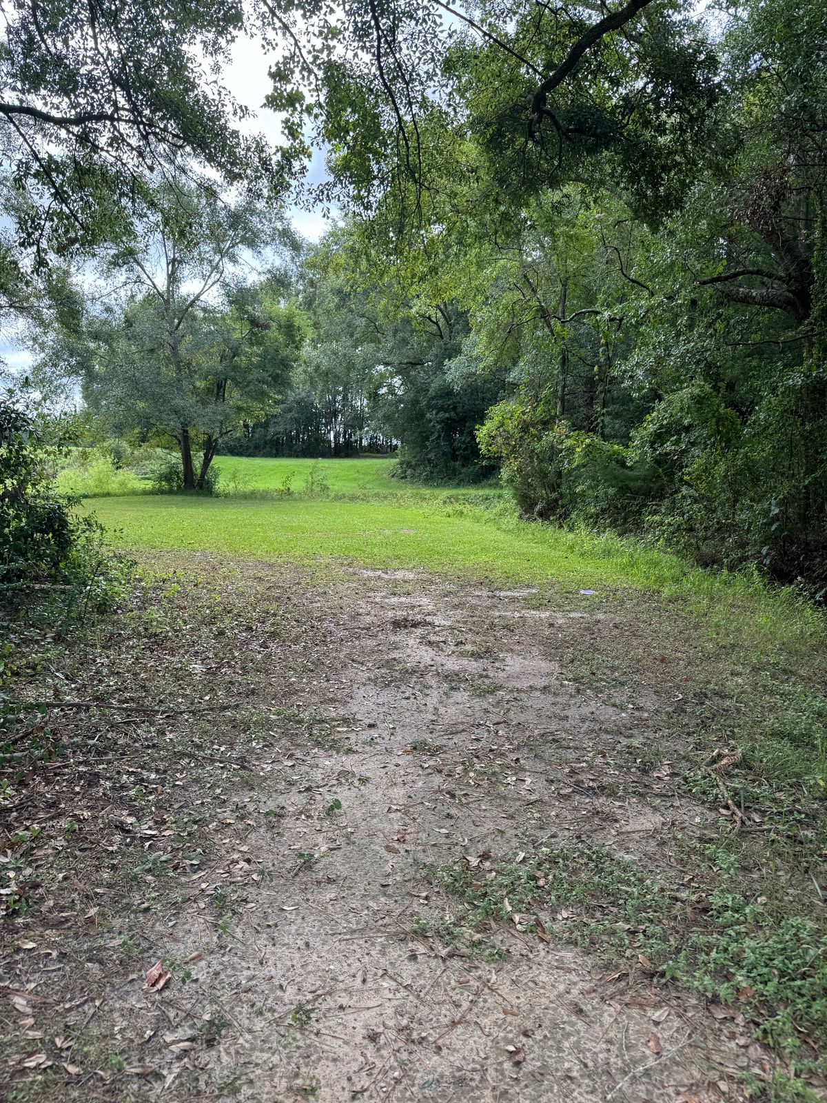 Hole 10 mid fairway (throws over ditch)