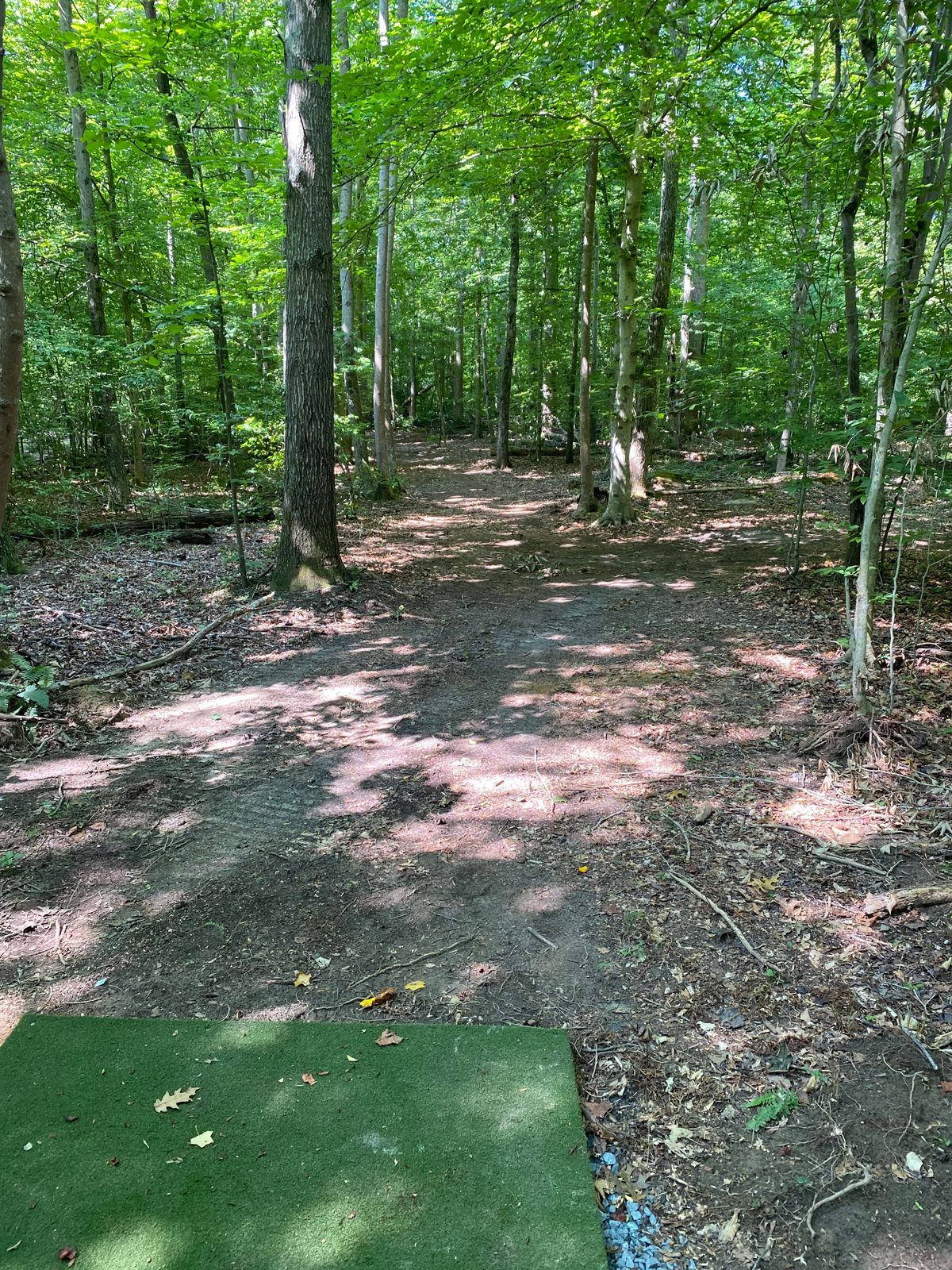 Hole 7 Tee