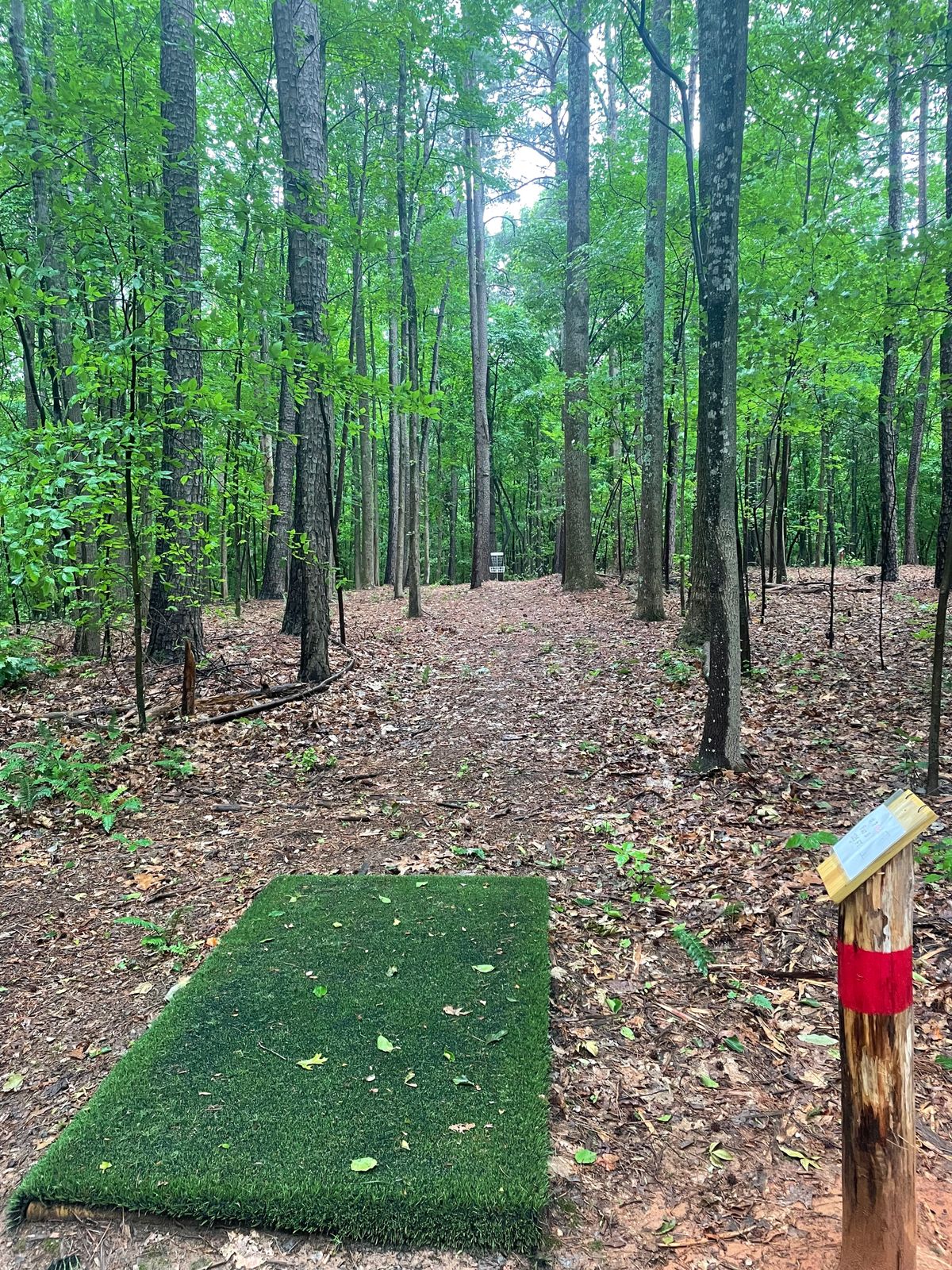 Hole 7 red…the most aceable run.