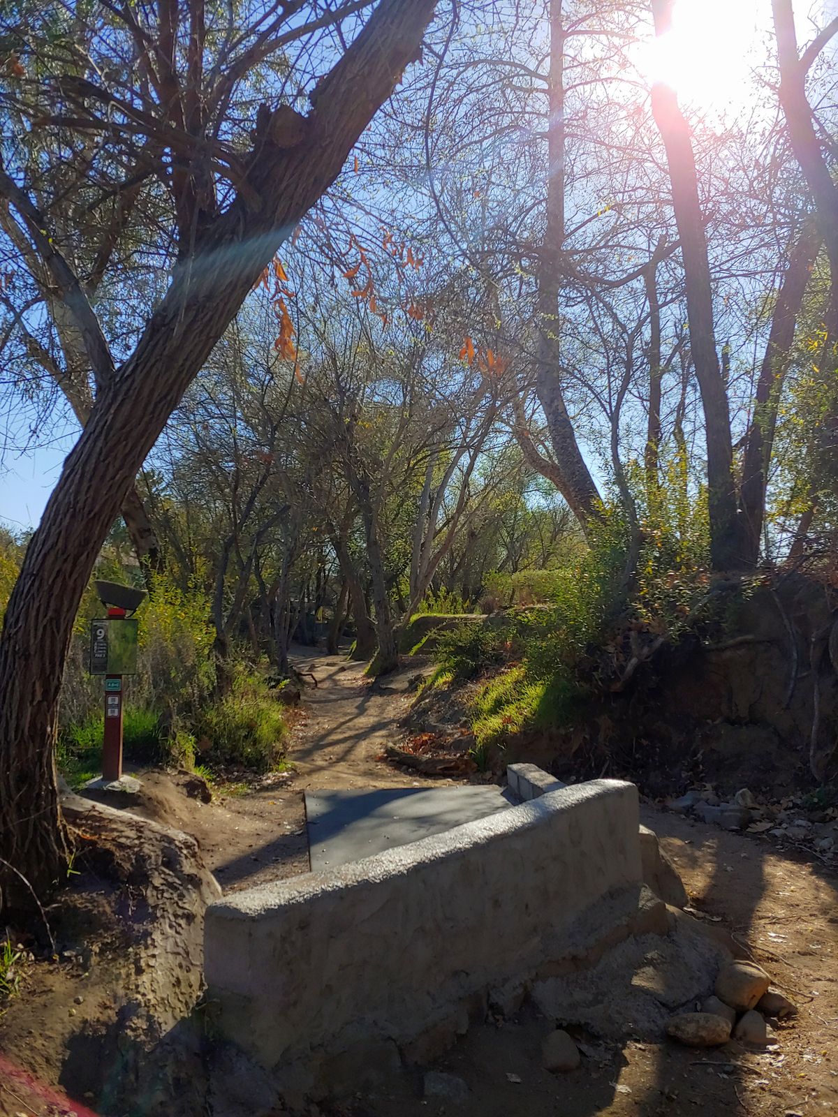 Hole 9 short tee pad