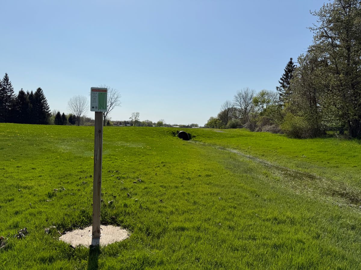 Hole 8 Tee