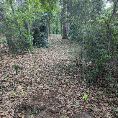 Hole 4