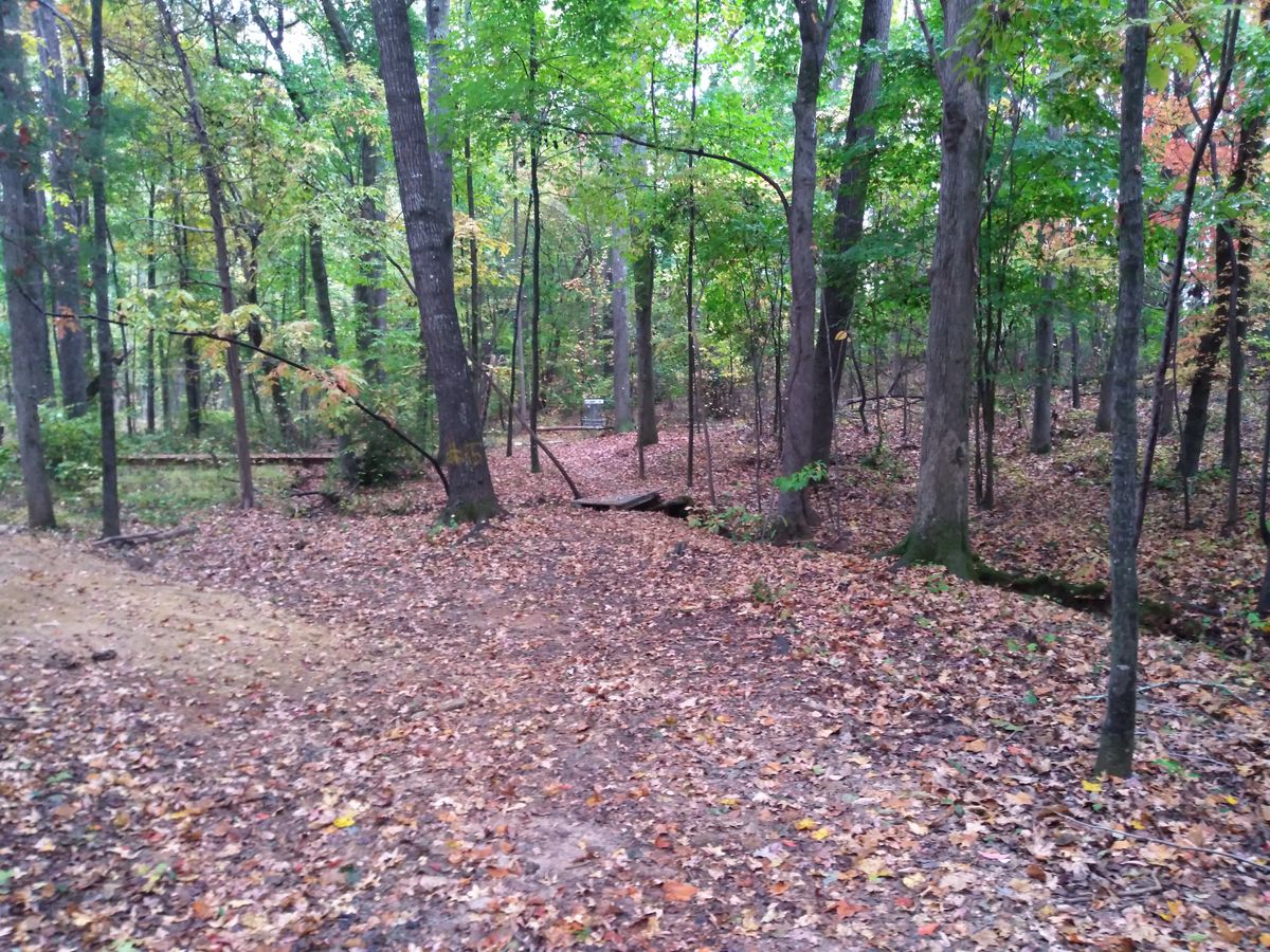 approach to basket 15