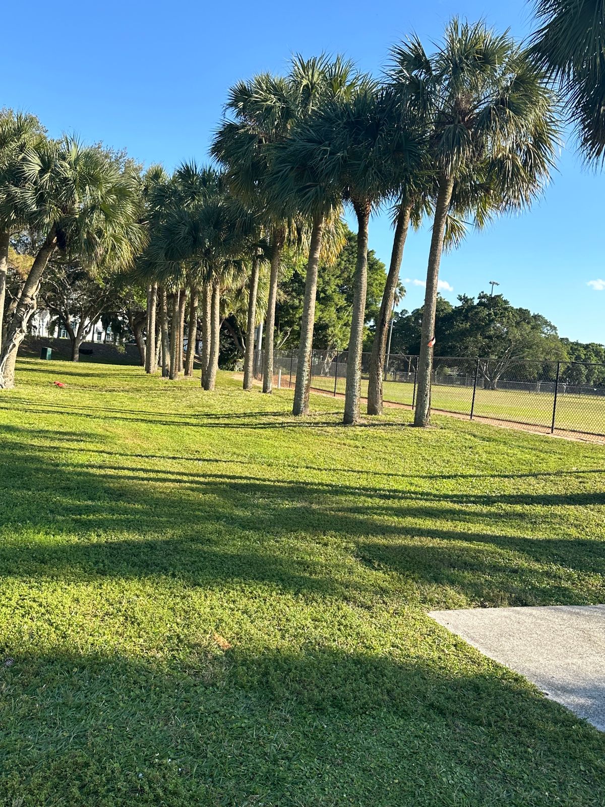 Hole 8