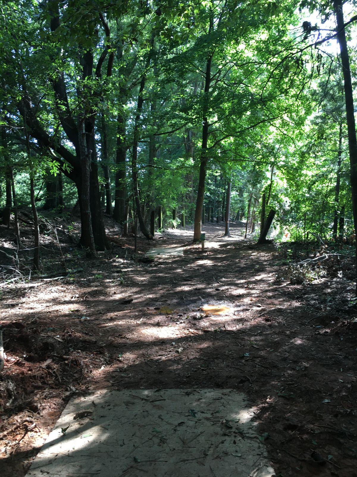 Hole 6
