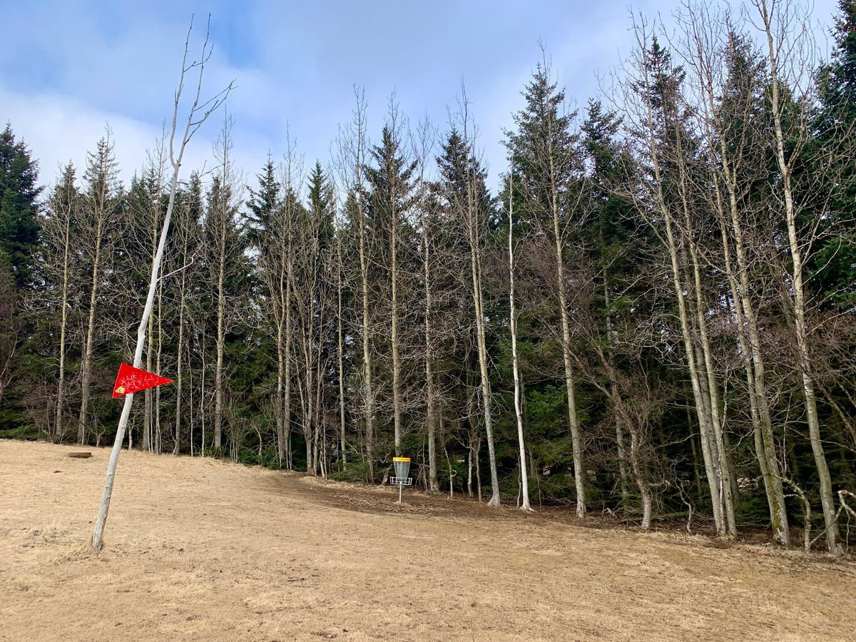 Hole 5