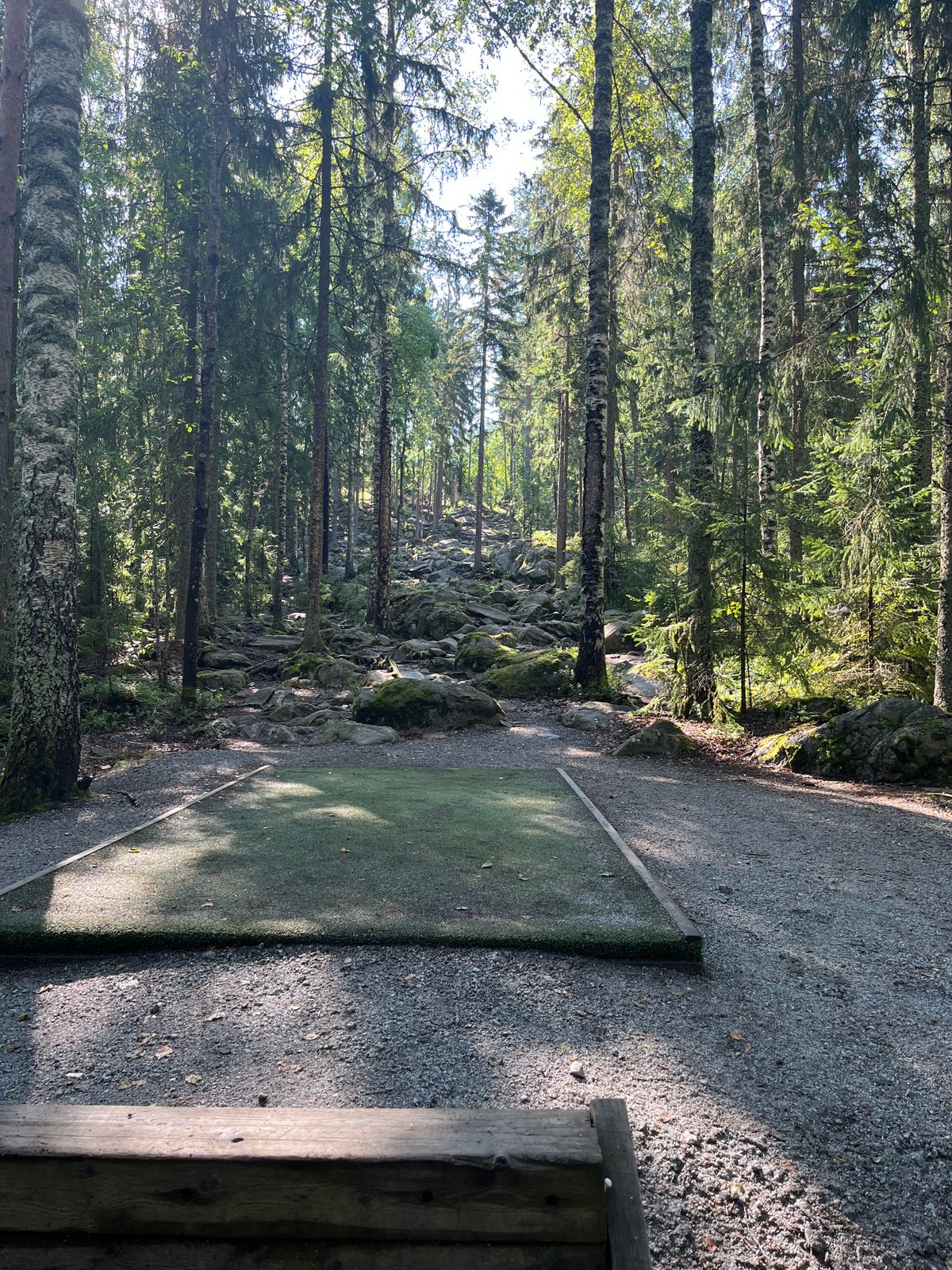 Hole 7, tee