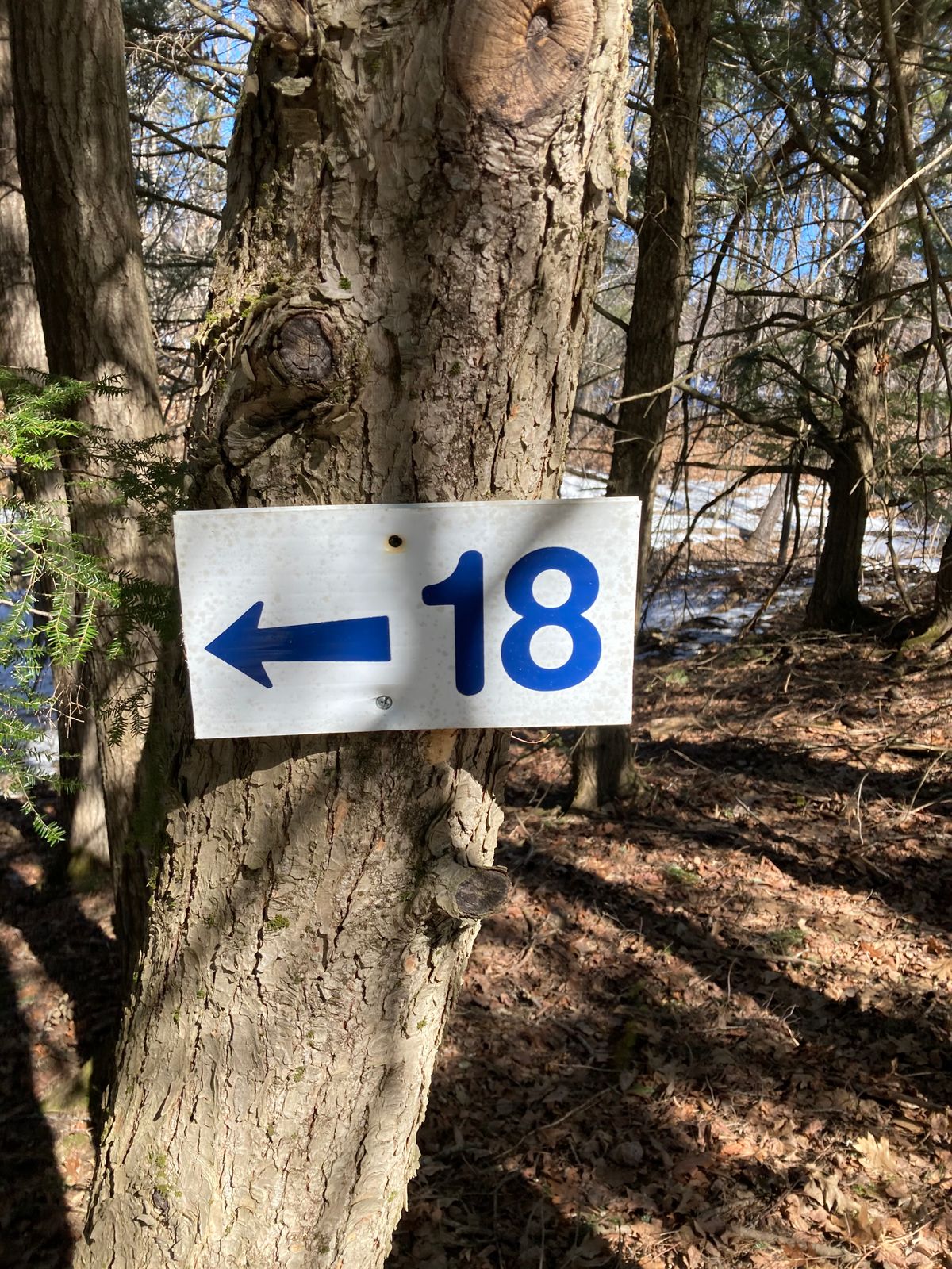 Wait, this way!