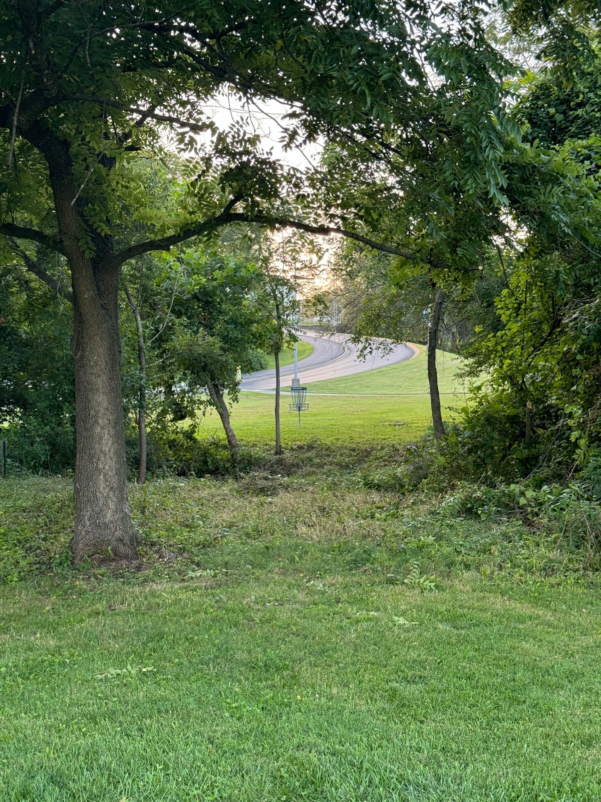 Hole 6