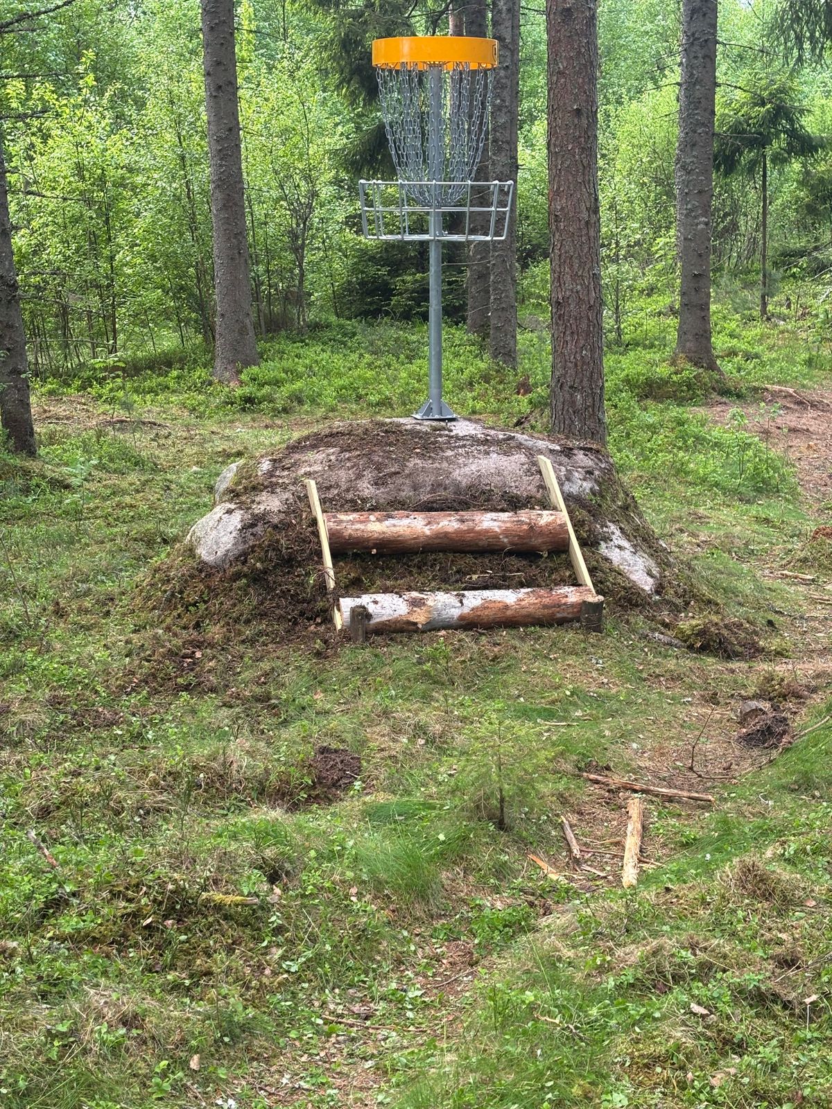 Hål 11