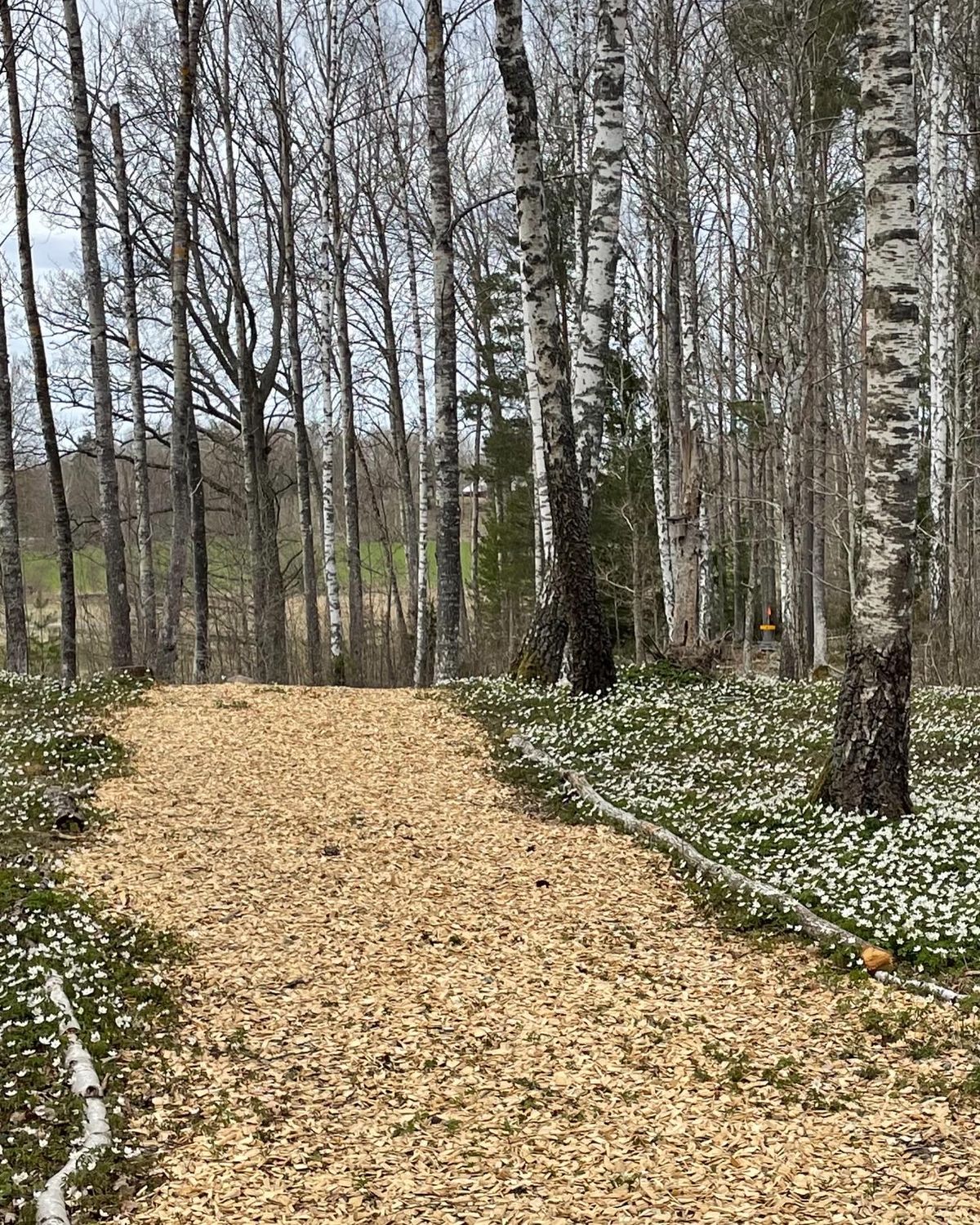 Fairway hål 10
