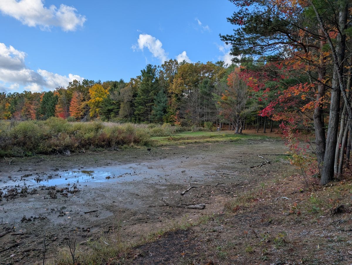 I've never seen hole one's pond as a mud pit before. :(