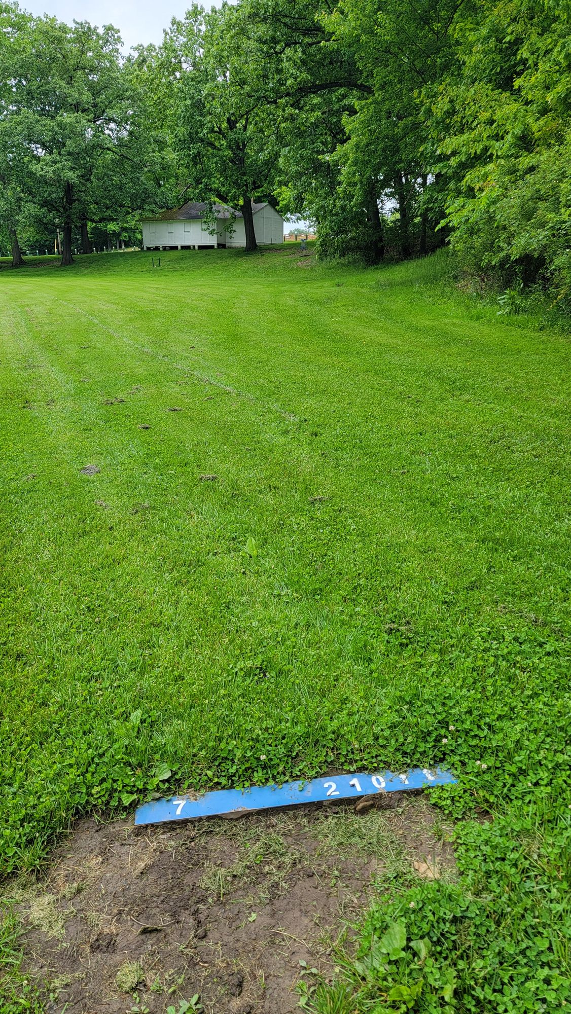 Hole 7, a good lefty hole