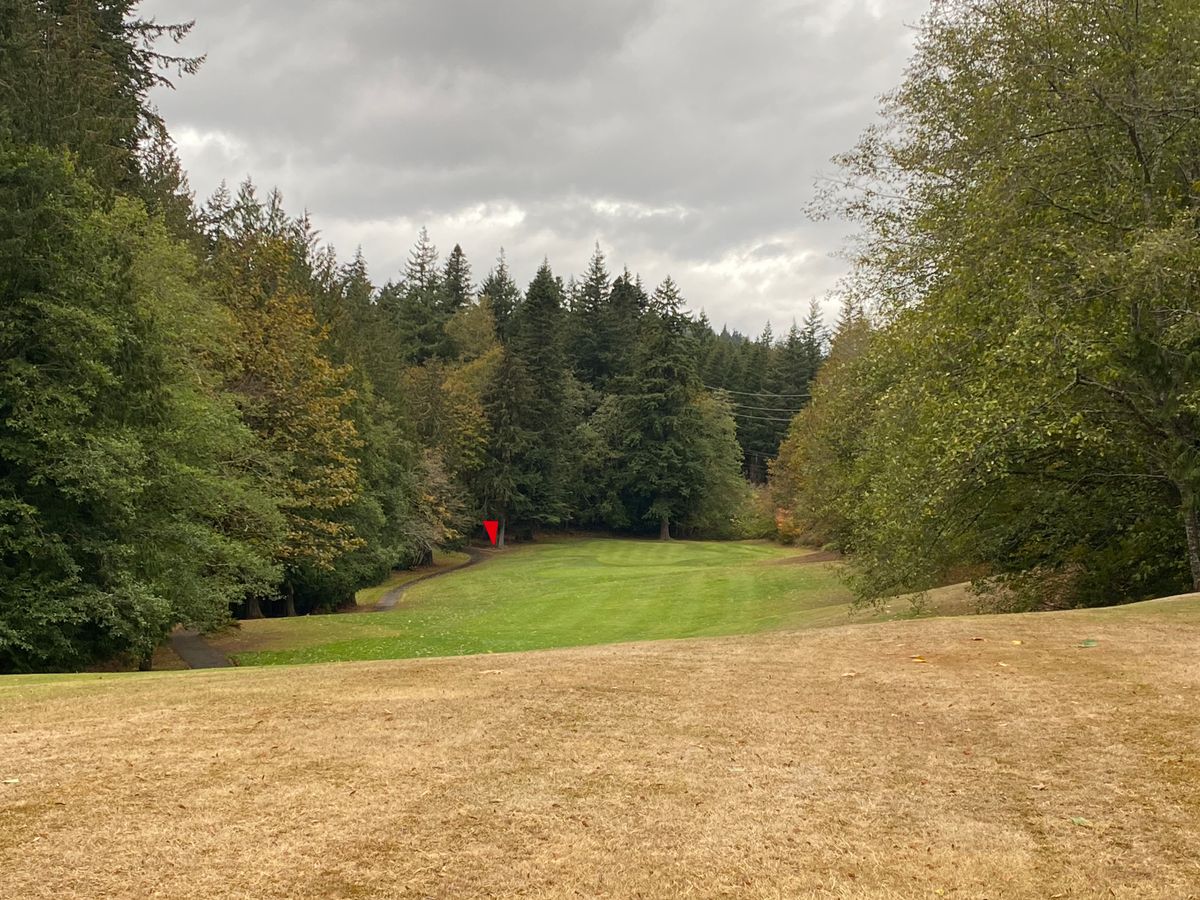 Hole 16 ‘Koma Kulshan’ tee par 5 915 ft. Downhill with ob everywhere