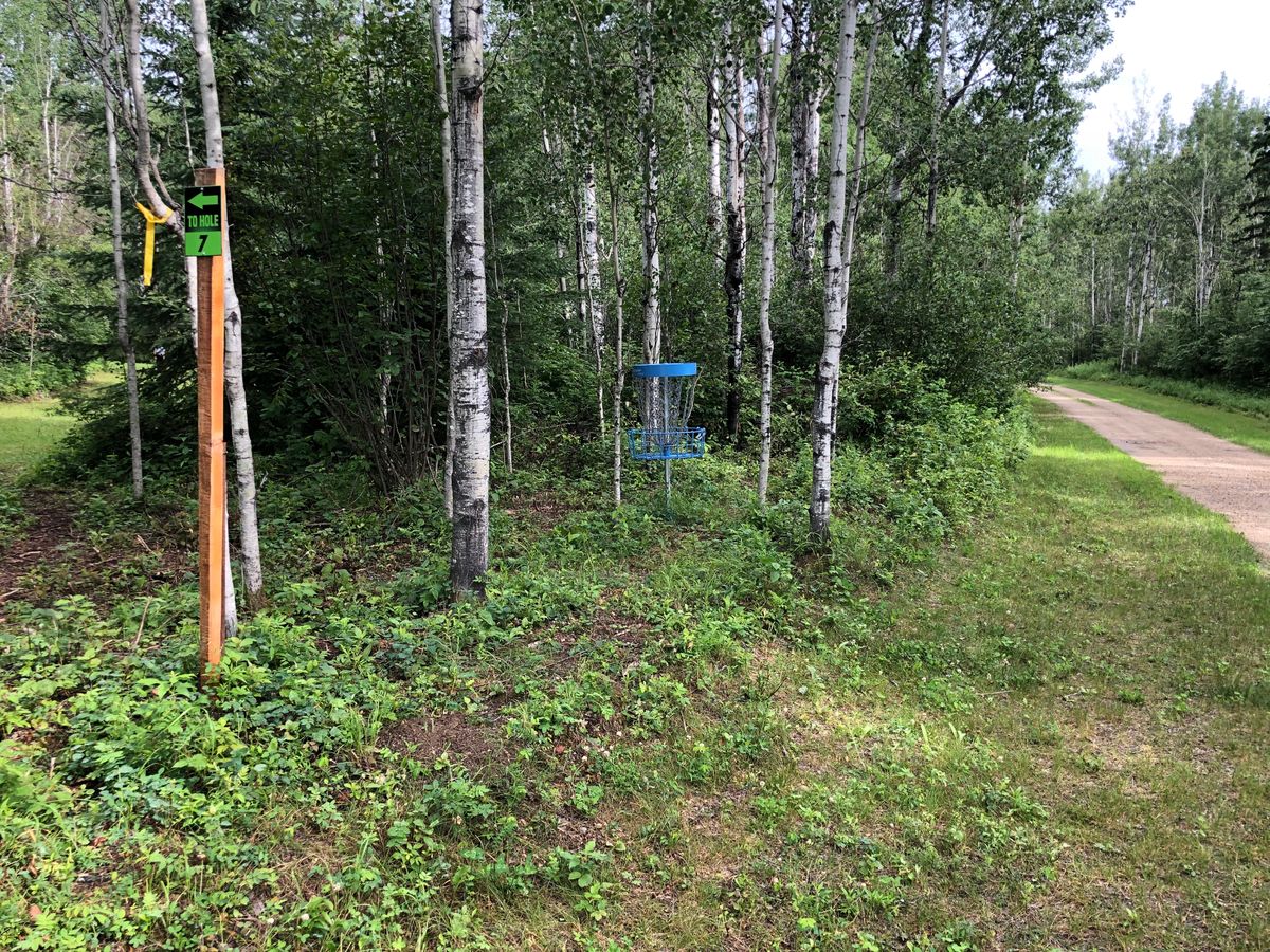 #6 green and basket on Action