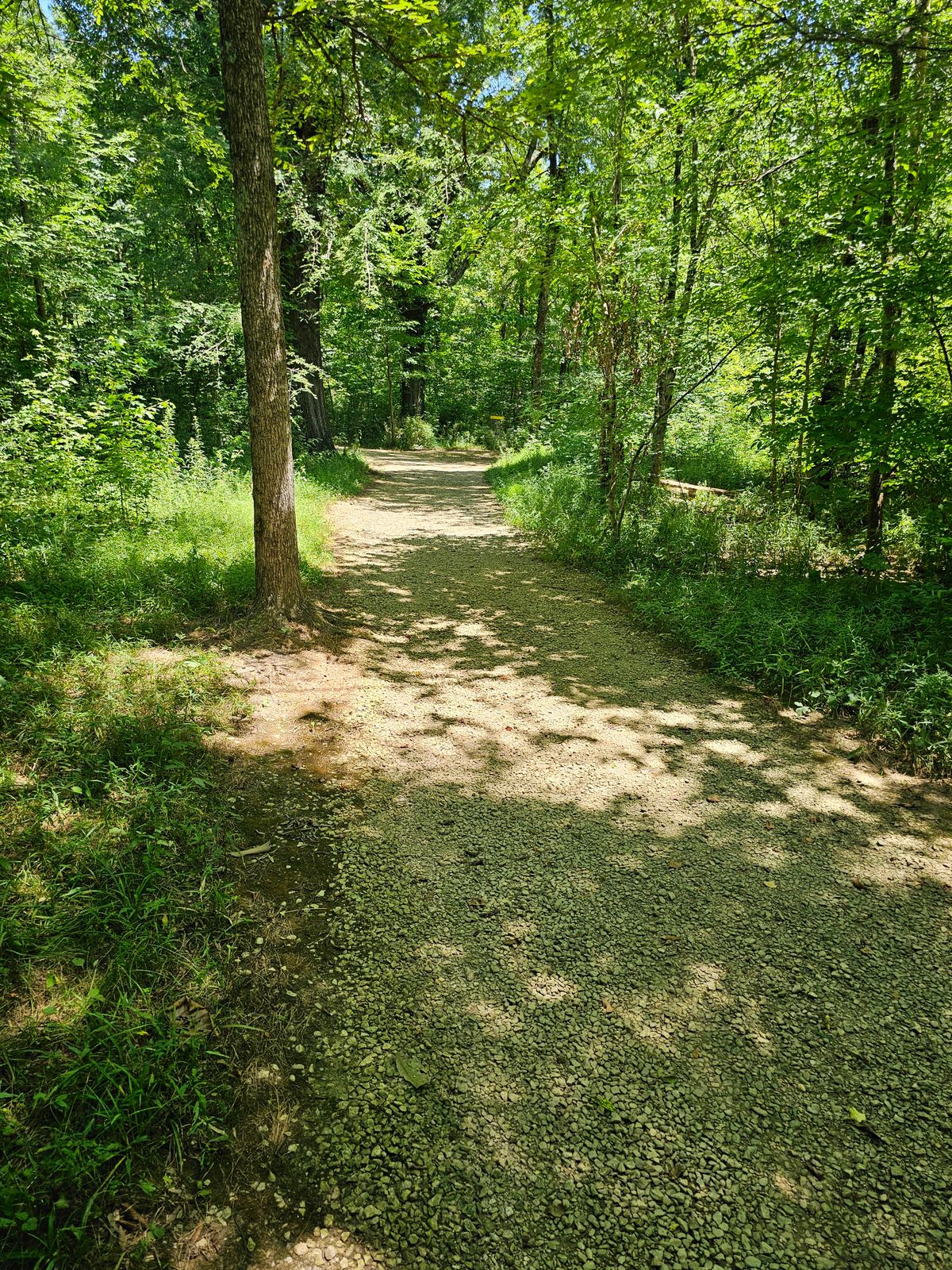 Hole 8's fairway