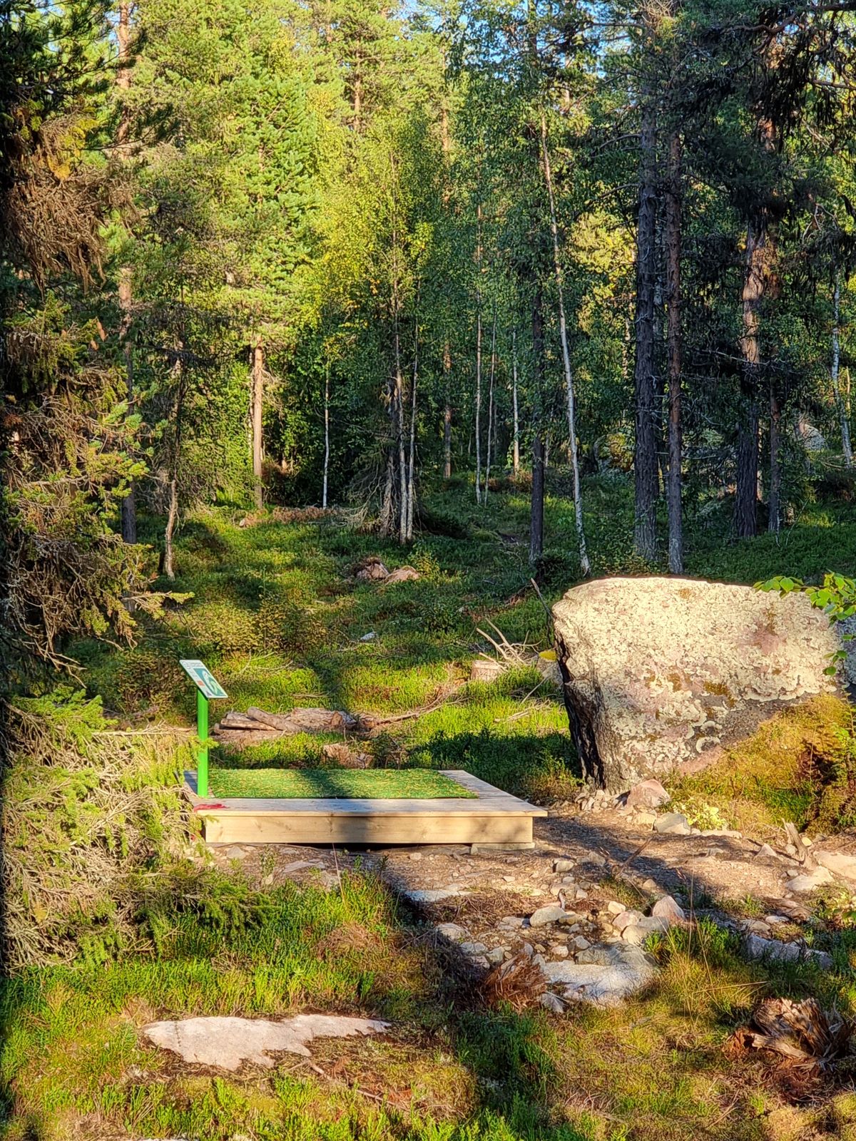 Tee på hål 12