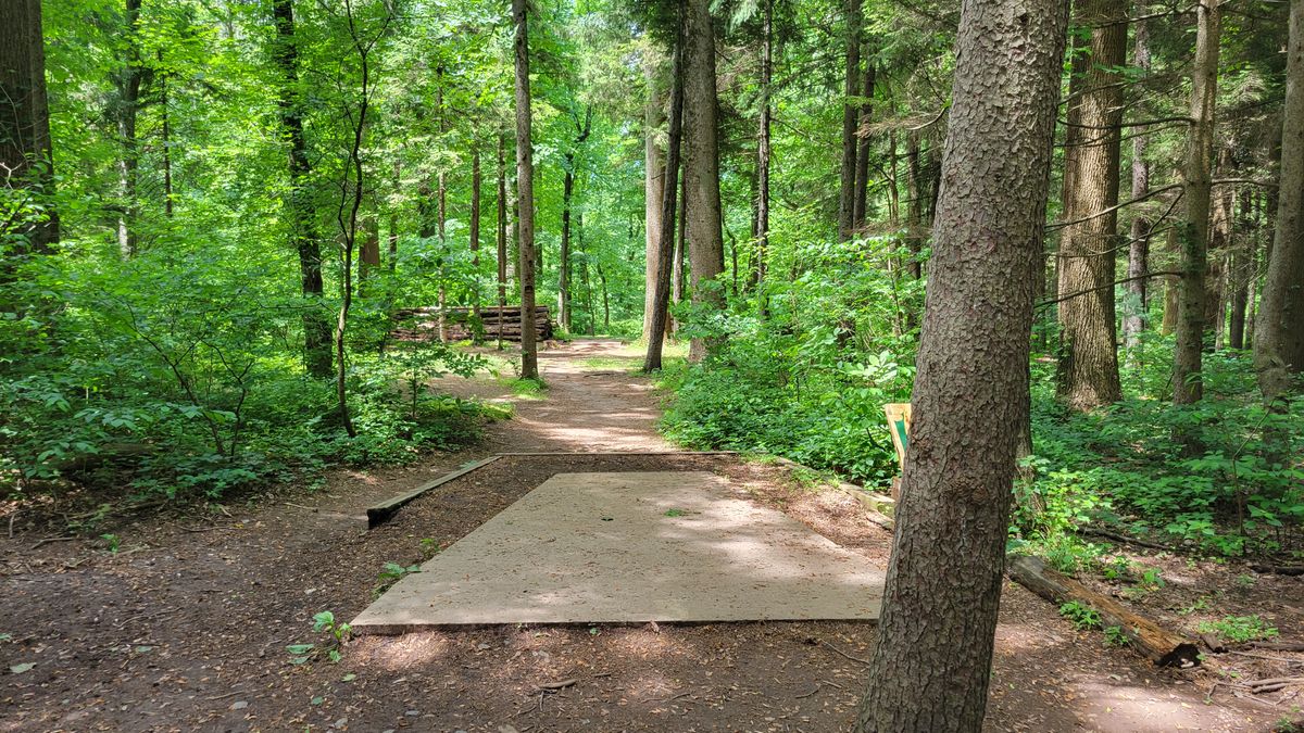 Hole 3 Long Tee