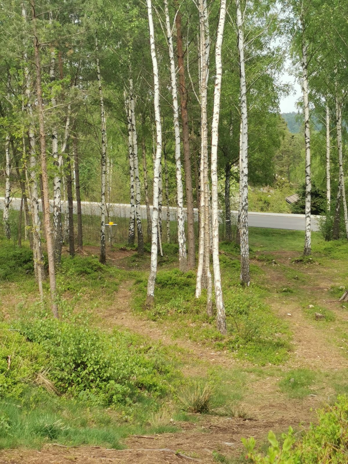 Hål 9