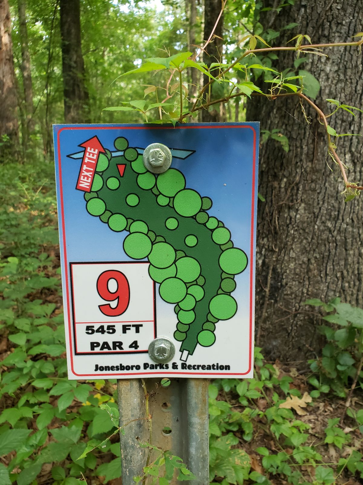 #9 Red Tee Sign