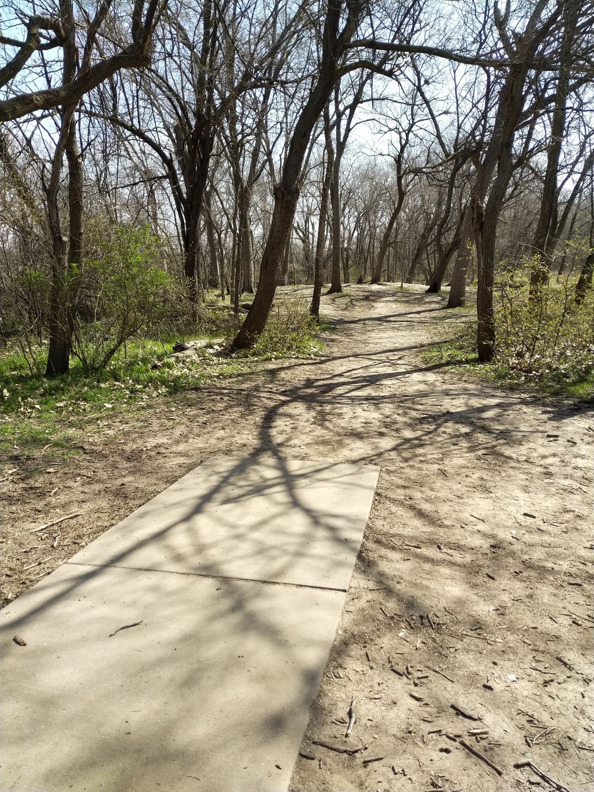 Hole #7 Red Tee (April 2021)