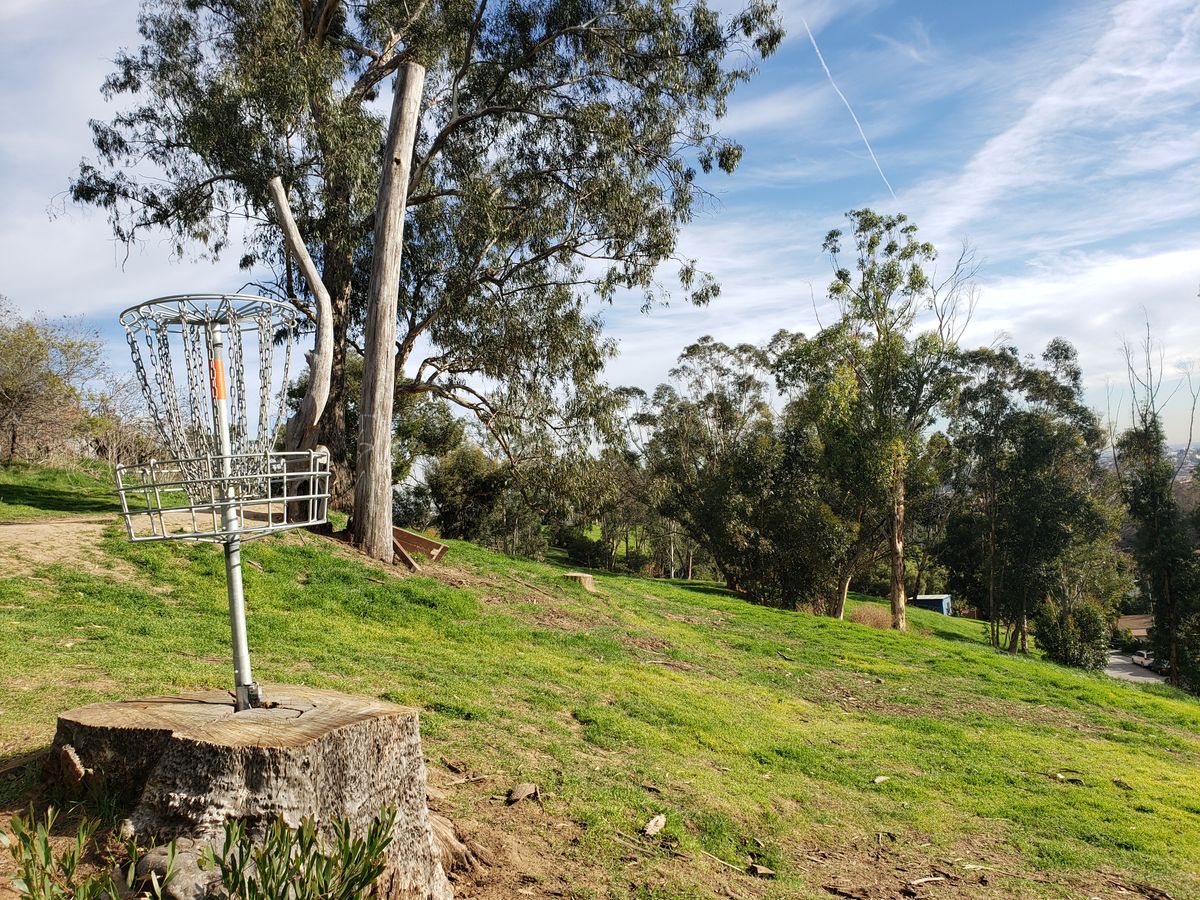 Old Hole 4, New Long 13