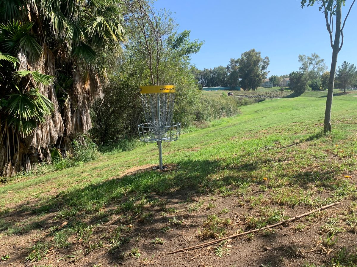 Alpha Hole 18 Basket